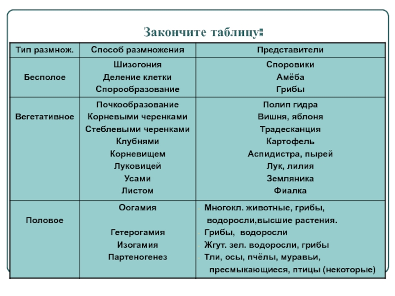 Правильная ссылка на кракен