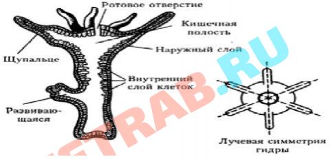 Взломали аккаунт на кракене что делать